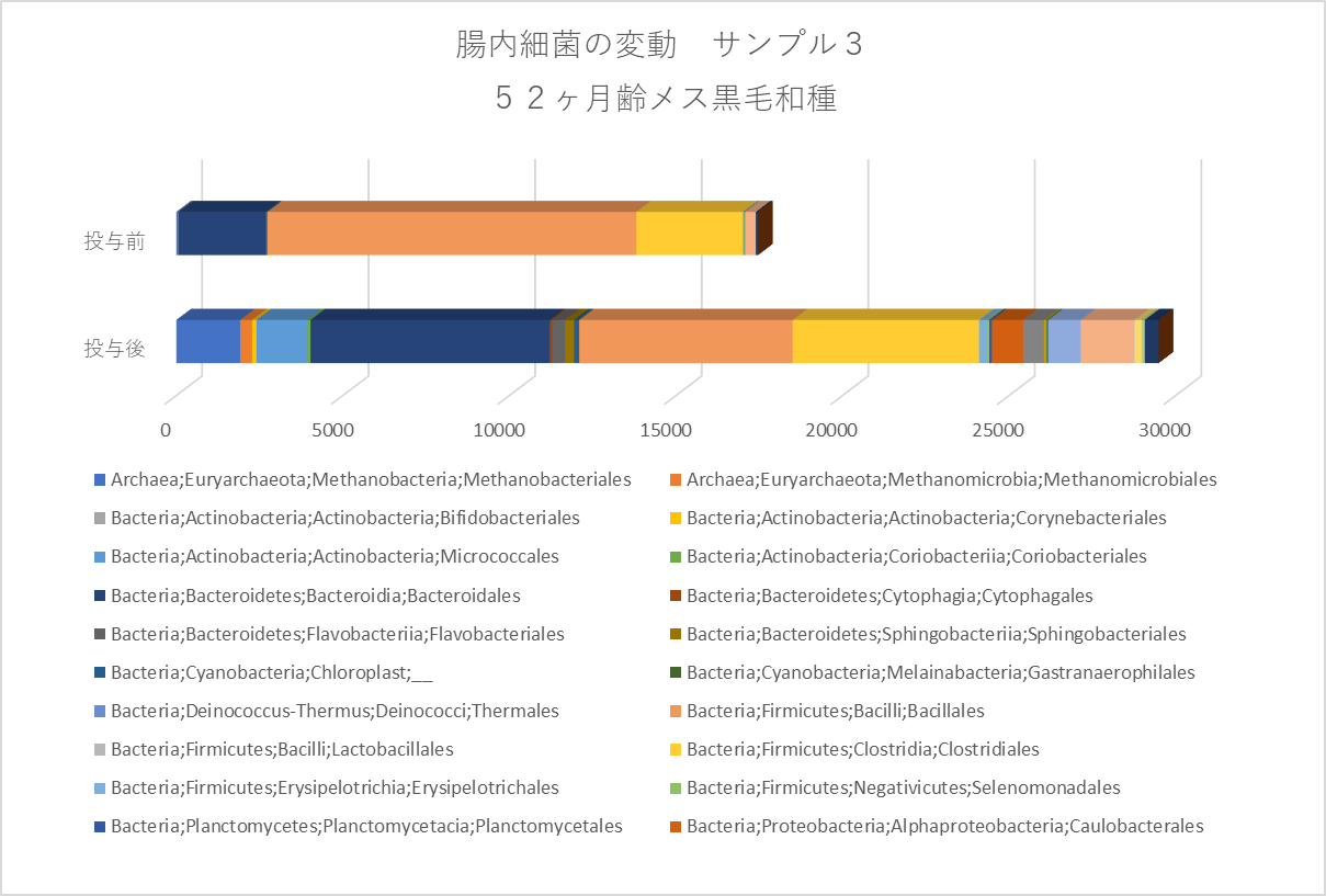 腸内細菌の変動 サンプル3