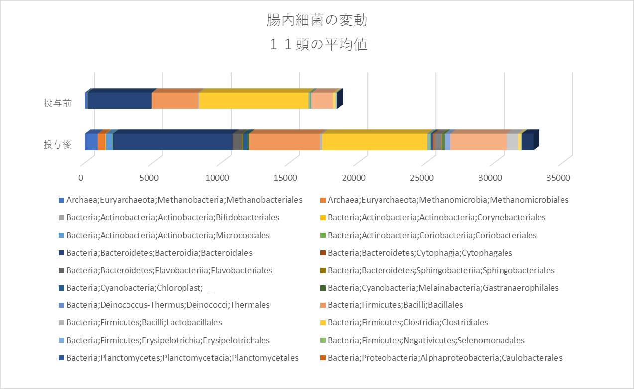 腸内細菌の変動 11頭の平均値